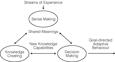 Figure 2: The Knowing Cycle