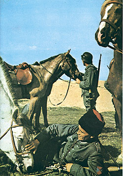 Soldiers and Horses