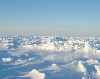 Sea ice in the Beaufort Sea