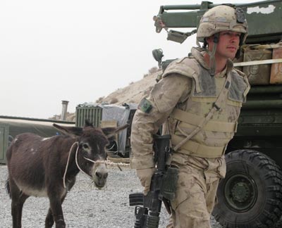 Canadian soldier Corporal Scott King returns from grazing Hughes, the two-year-old donkey pet of Canadian soldiers in Afghanistan, 2 April 2008.