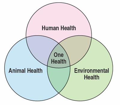 Circles of health