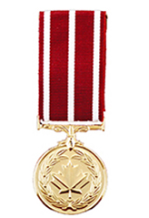 Medal of Military Valour 