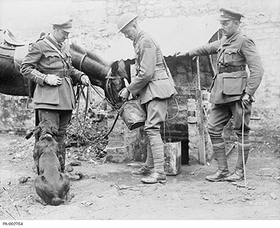 Officers of the 22nd Battalion watering a horse, under the close supervision of a dog.