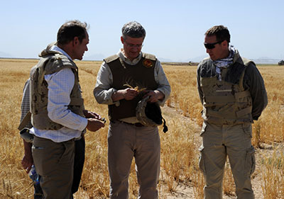Tim Martin, the Representative of Canada in Kandahar, the Right Honourable Stephen Harper, Prime Minister of Canada, and the Honourable Peter MacKay, the Canadian Minister of National Defence, examine some of the wheat grown at Tarnack Farms near Kandahar City, 30 May 2011.