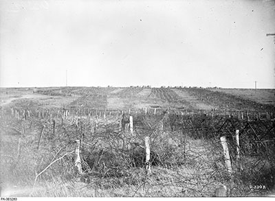 Belts of barbed wire protecting the Hindenburg Line.