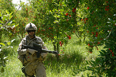 Un soldat canadien de lquipe provinciale de reconstruction de Kandahar (EPRK) patrouille parmi des arbres en fleurs dans le district de Panjwayi en Afghanistan.