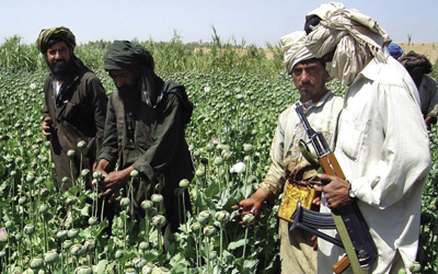 Un taliban monte la garde dans un champ de pavot à opium dans le district de Naway, dans la province du Helmand, dans le Sud-ouest de l’Afghanistan, le 25 avril 2008.