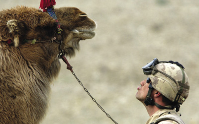 A little too long on deployment? A crew commander from B Squadron Royal Canadian Dragoons puckers up for a kiss with a local in Sarobi, Afghanistan, 16 March 2005.