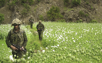 Canadian soldiers walk through a poppy field in Markhanai village, 5 May 2002.